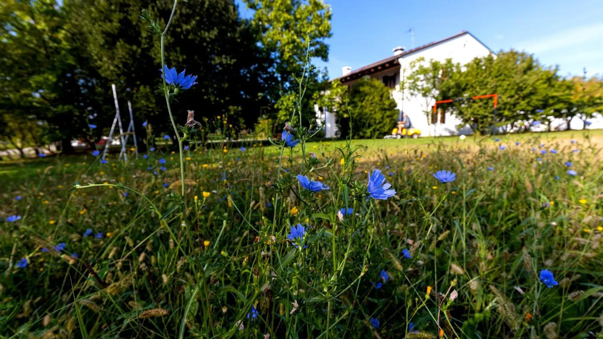 公寓 Fiori Di Campo Holiday Home 特雷维索